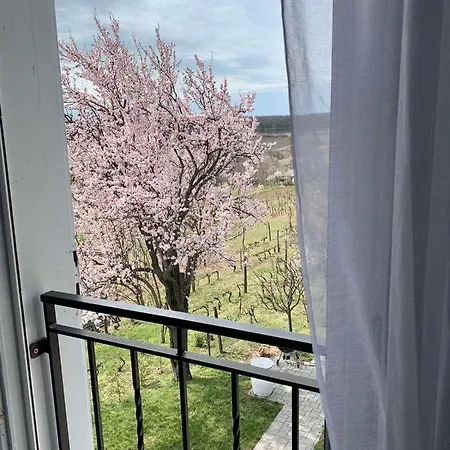 Szoloskert Vendeghaz