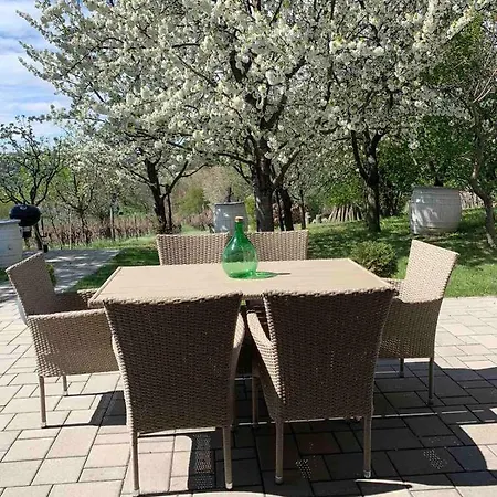 Szőlőskert Balatonszőlős