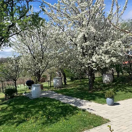 Szoloskert Vendeghaz בית נופש