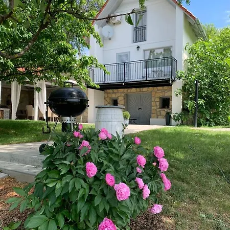 Szoloskert Vendeghaz בית נופש