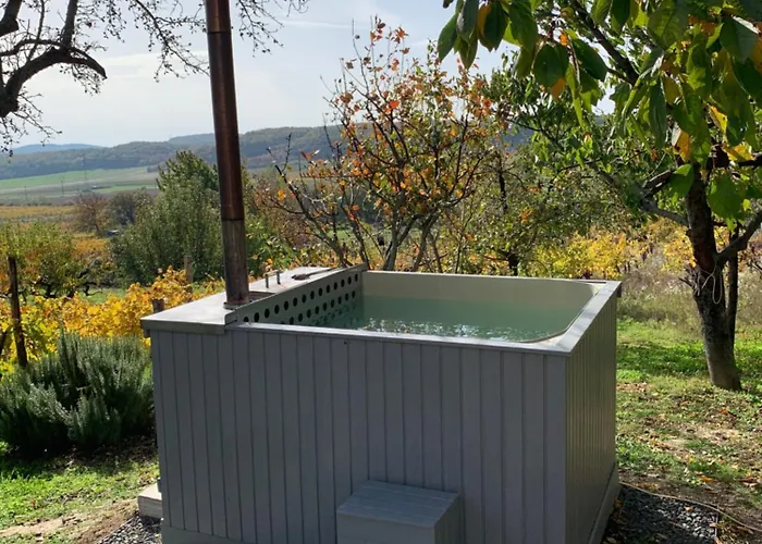 Szoloskert Vendeghaz Holiday home Balatonszolos